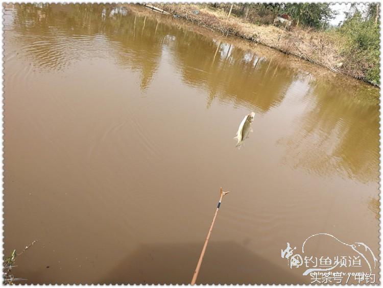 国庆节的来历,国庆头像