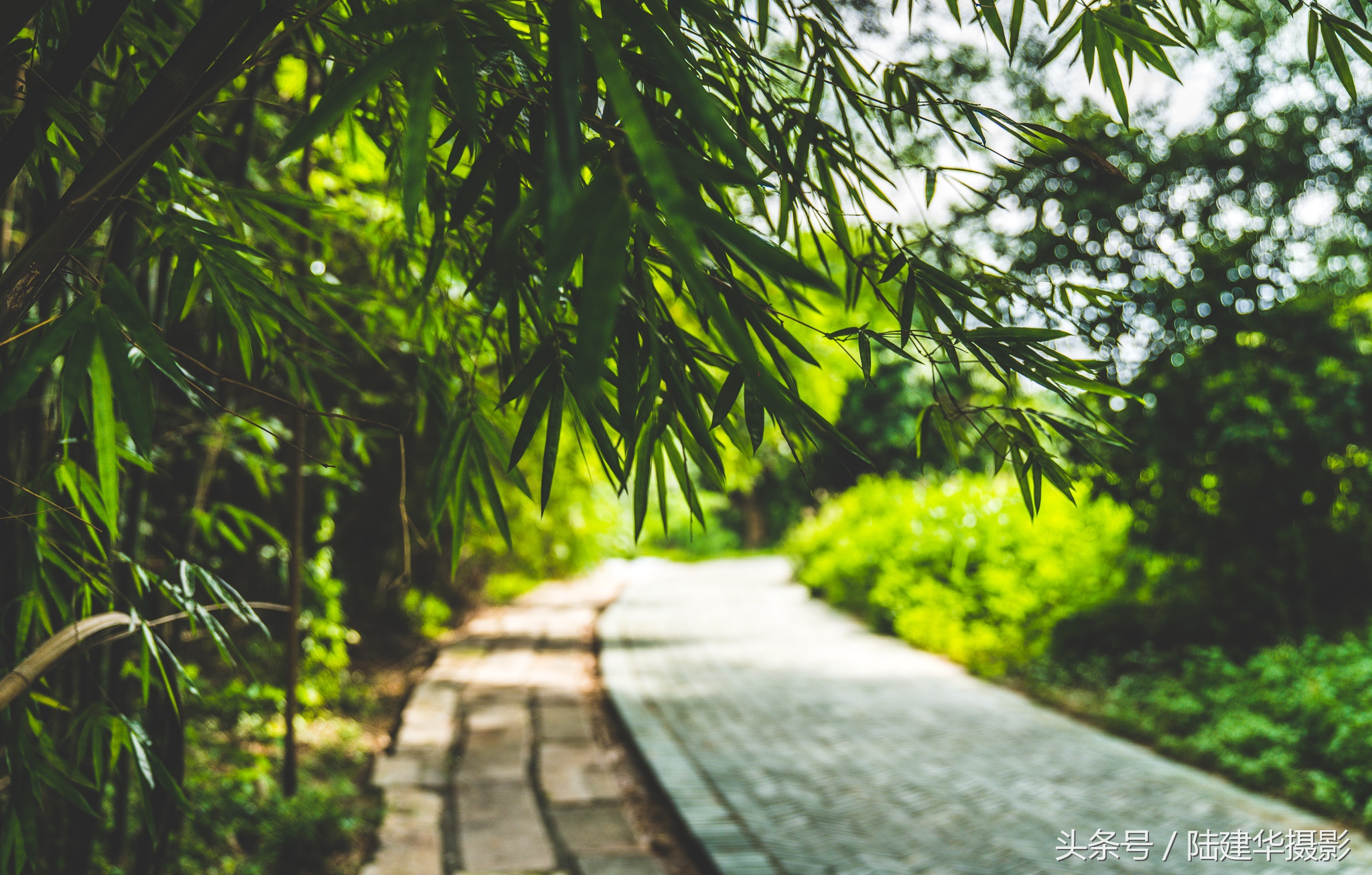 东莞世界工厂,东莞的十大古村落