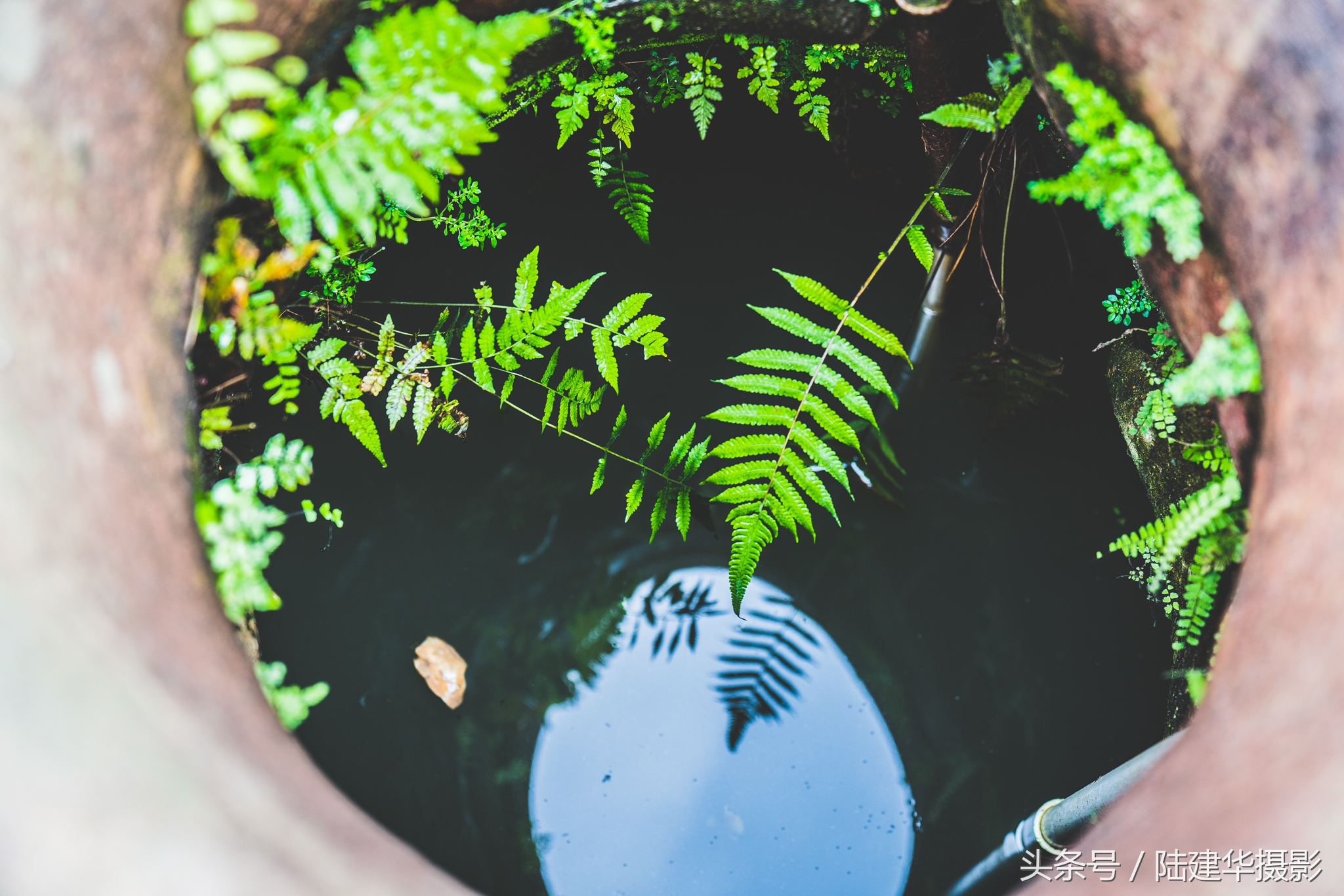 东莞世界工厂,东莞的十大古村落
