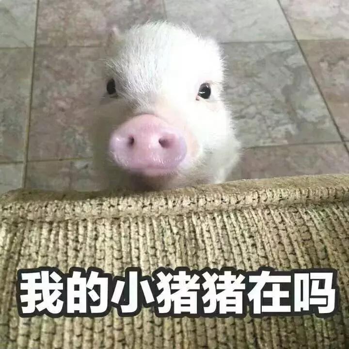 比代购更划算的商品,比代购便宜又实惠的商品