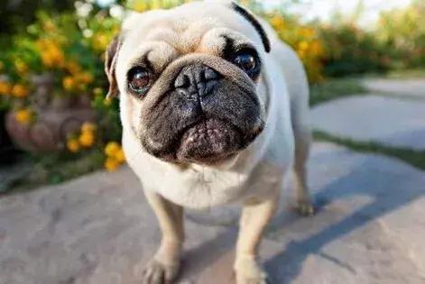 绂忓埄鏉ヤ簡鍏嶈垂绀肩洅,绂忓埄鏉ヨ濂界ぜ