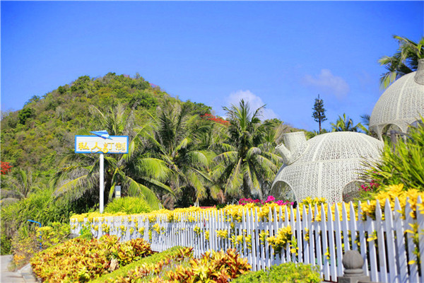 三亚看海美食攻略最值得去的地方,去三亚看海必打卡