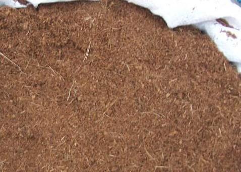 泡沫箱养蚯蚓钓鱼最佳方法,秋天用蚯蚓钓鱼效果好不好