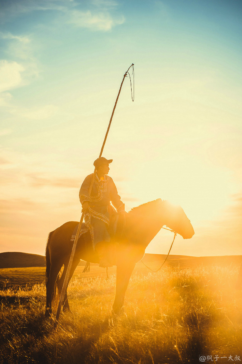 草原金秋美景图片,蓝天白云大草原的美图