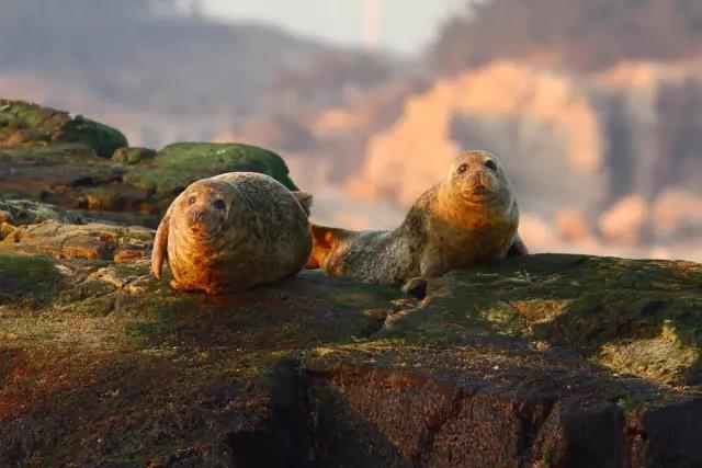 一个90后摄影师,一个90后的摄影师