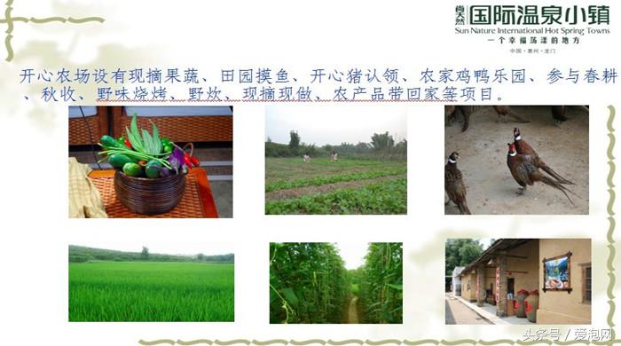 广东第一峰无边际温泉,广州从化苏打温泉度假