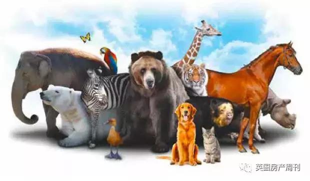 从《王牌特工》的标配西装，到全球互联网，英国贡献了哪些礼物？