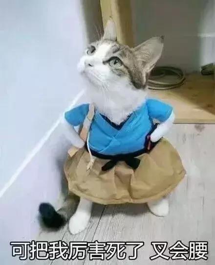 四六级听力为什么听不懂,英语四六级听力完全听不懂