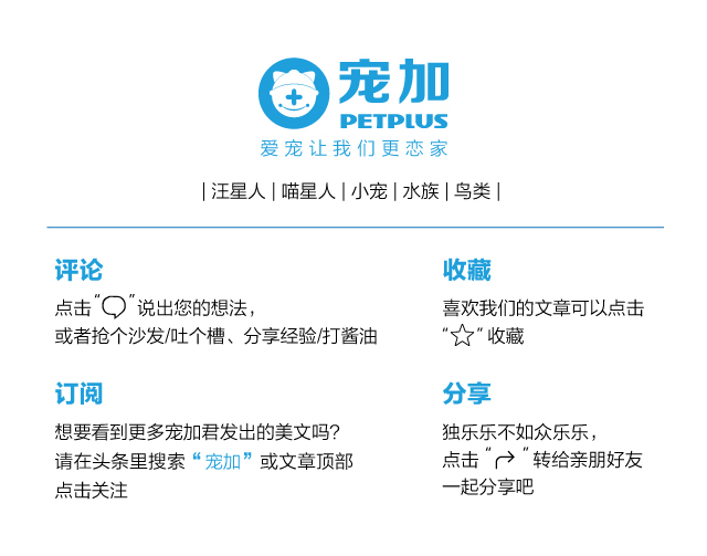 狗子见狗子，为何用“菊部”打招呼