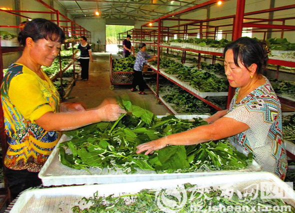汉中上半年经济排名第几,汉中市一季度经济
