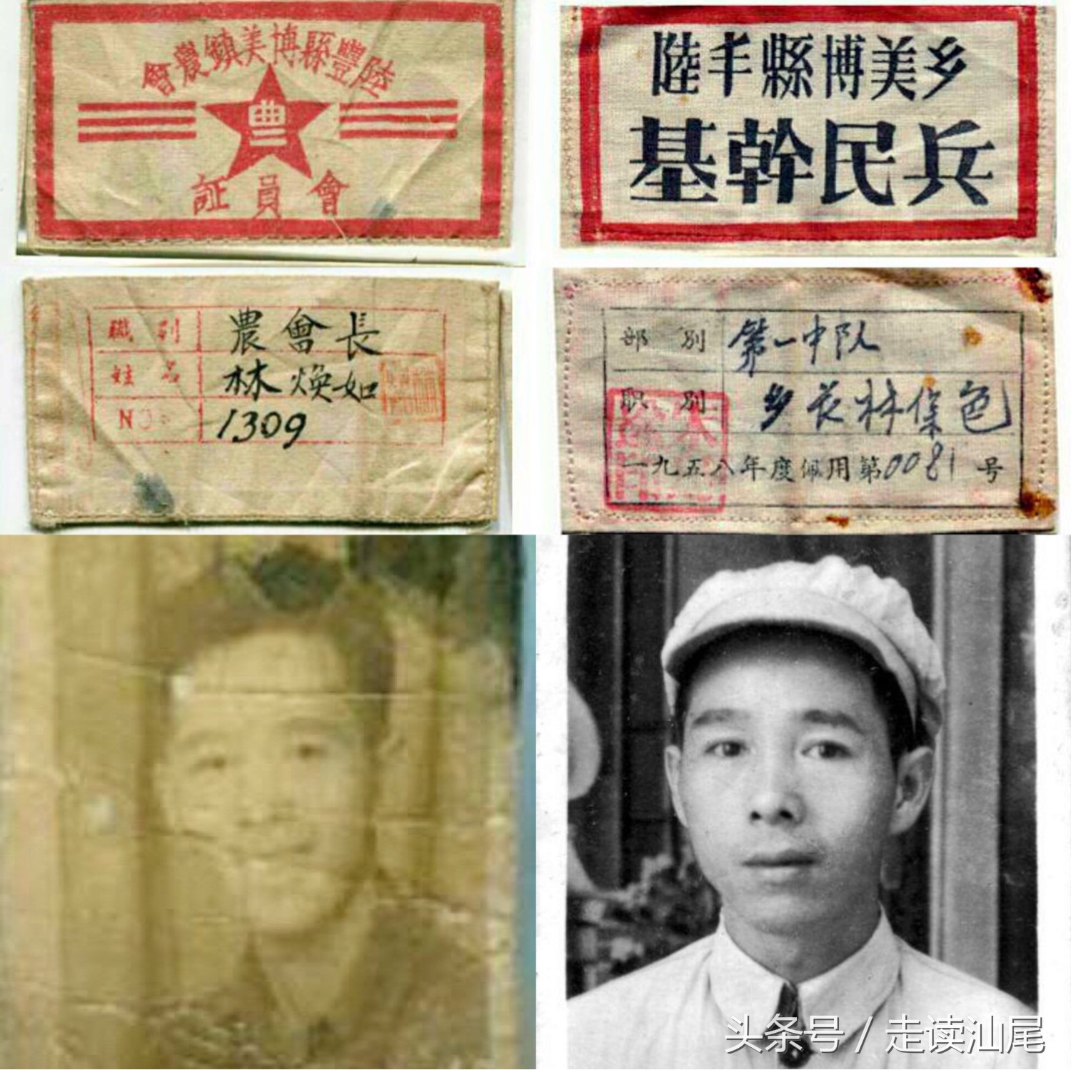 司马第陆丰,陆丰博美历史