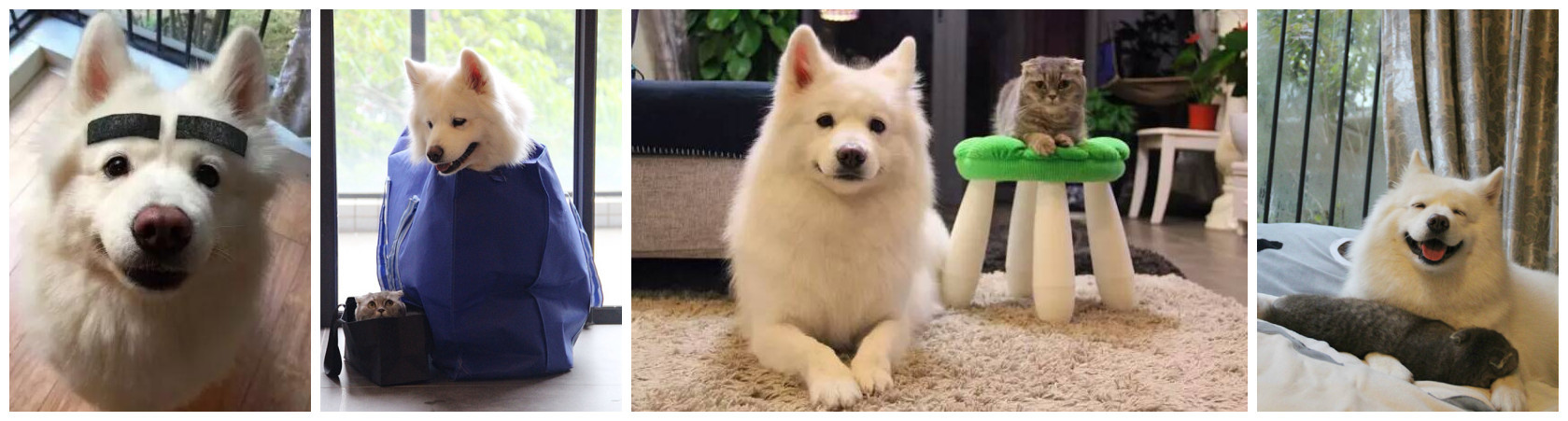 盘点那些不露脸长得很好看的网红,那些头像丑到爆的网红