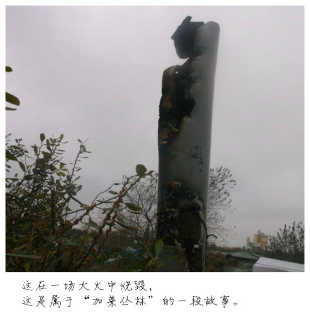 最新热点：加莱的“丛林孤儿”，你们在哪里？