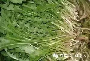 春季野菜采摘图解高清图片,春季野菜多种做法