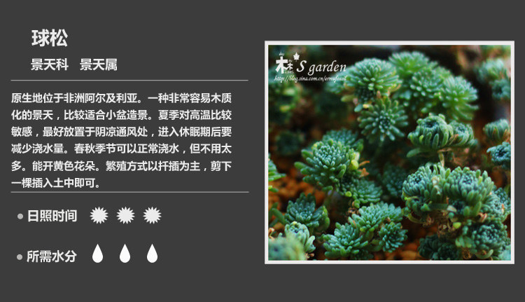史上最全的多肉植物名字对照图，终于找齐了！