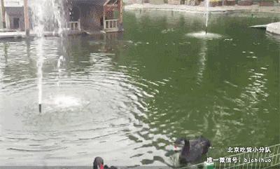 首经贸最大的食堂是什么,首都经贸大学第一食堂