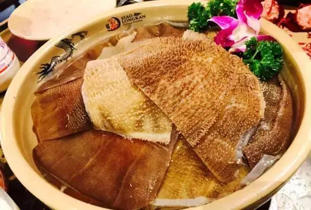 天冷了，一家一家吃起来，这些大连今年新开的网红火锅店