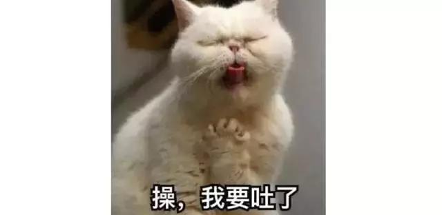 10月份爆品有哪些,10月份爆货清单