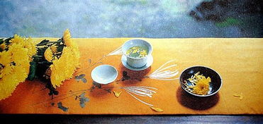 重阳节有哪些活动图片,重阳节有哪些活动意义是什么