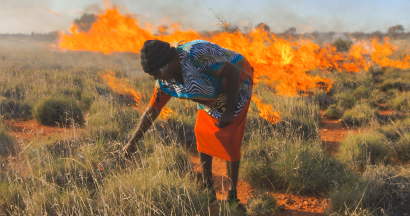澳洲版终极吃货考验:把袋鼠、蜥蜴和鸸鹋当“路边餐”