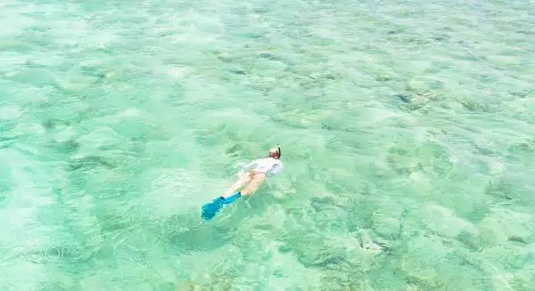 浮潜必须要知道的事,浮潜须知