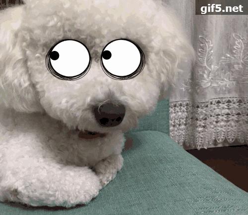 为了拥有《天才抢手》的记忆,你干过哪些丧心病狂的事?