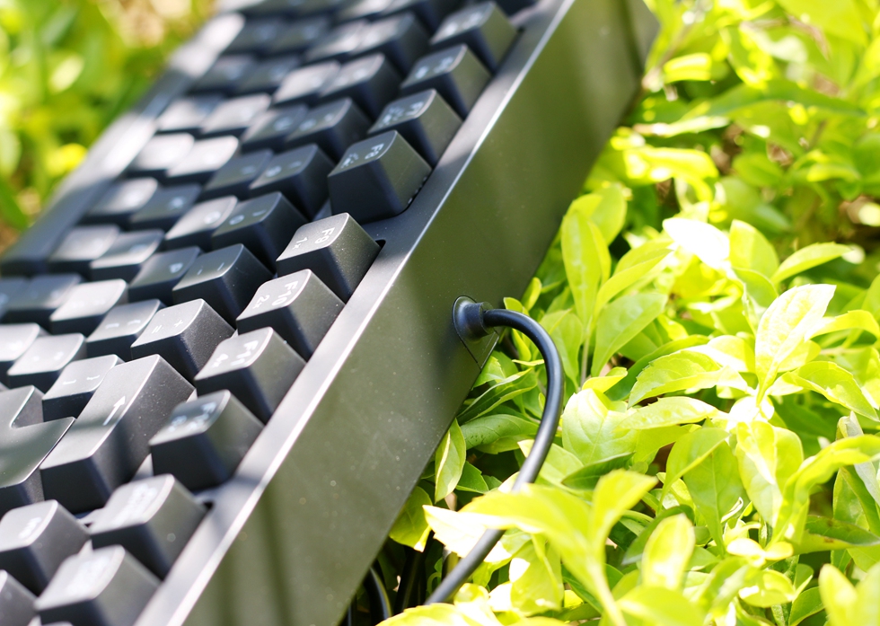 zowie机械键盘一代拆解,2016zowie机械键盘