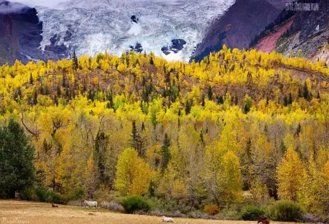 11月国内最值得去的景点,推荐七月国内最佳旅行目的地