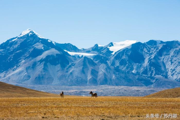 老司机眼中的西藏精髓,老司机西藏旅游