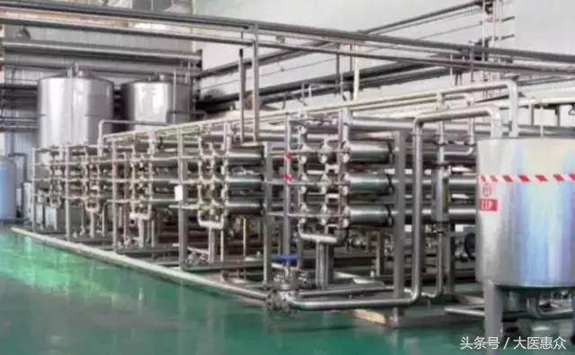 菊苣产地哪个地方好,北纬40度适合种植什么蔬菜