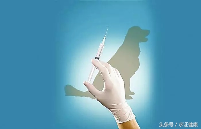 打了疫苗一定不死吗,打了疫苗就不得犬瘟吗