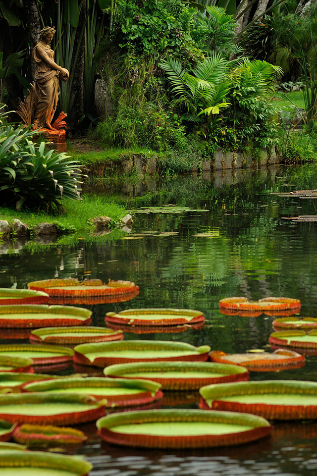 巴西街头的足球王国,巴西热情奔放的足球王国