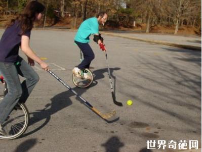 世界10大体育项目,世界上的十大最难的体育项目