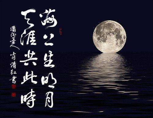 有关月亮的诗句带作者和诗名,摘录关于月亮的诗句的心得体会