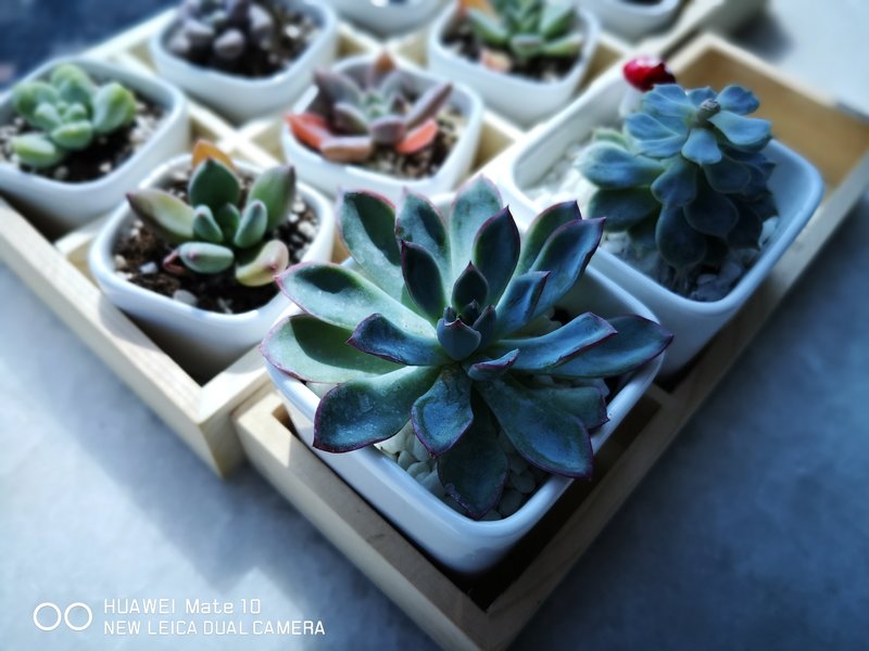 华为mate10深度上手体验,用了一年的华为mate10感觉如何