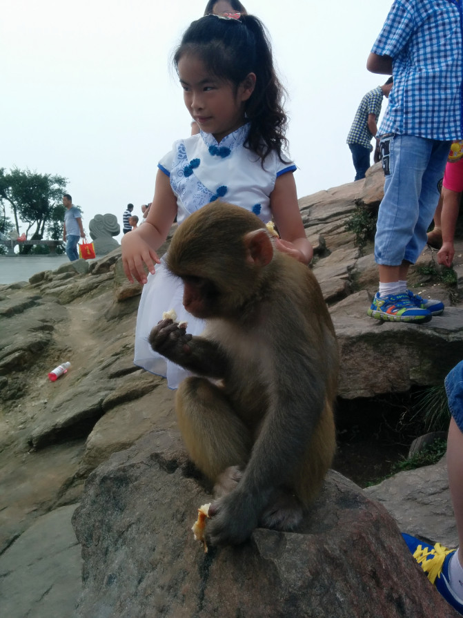 花果山游记400字以上,连云港花果山攻略