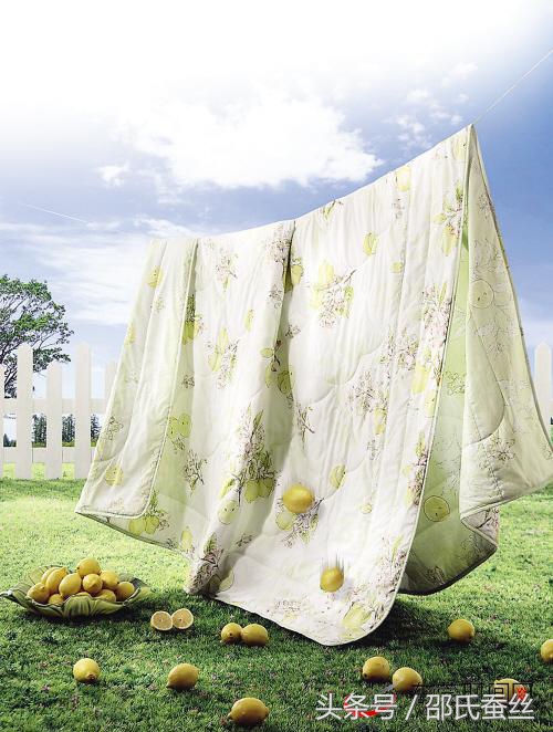 水洗夏凉蚕丝被,蚕丝被家庭水洗的正确方法