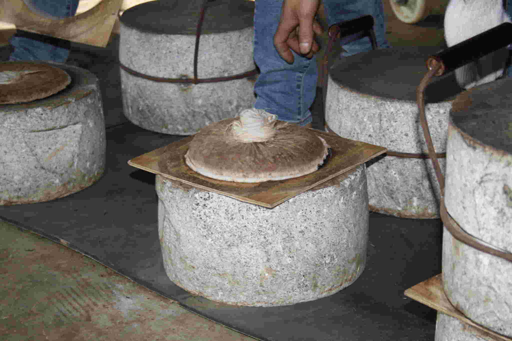 古树茶好喝吗视频,古树茶好在哪里