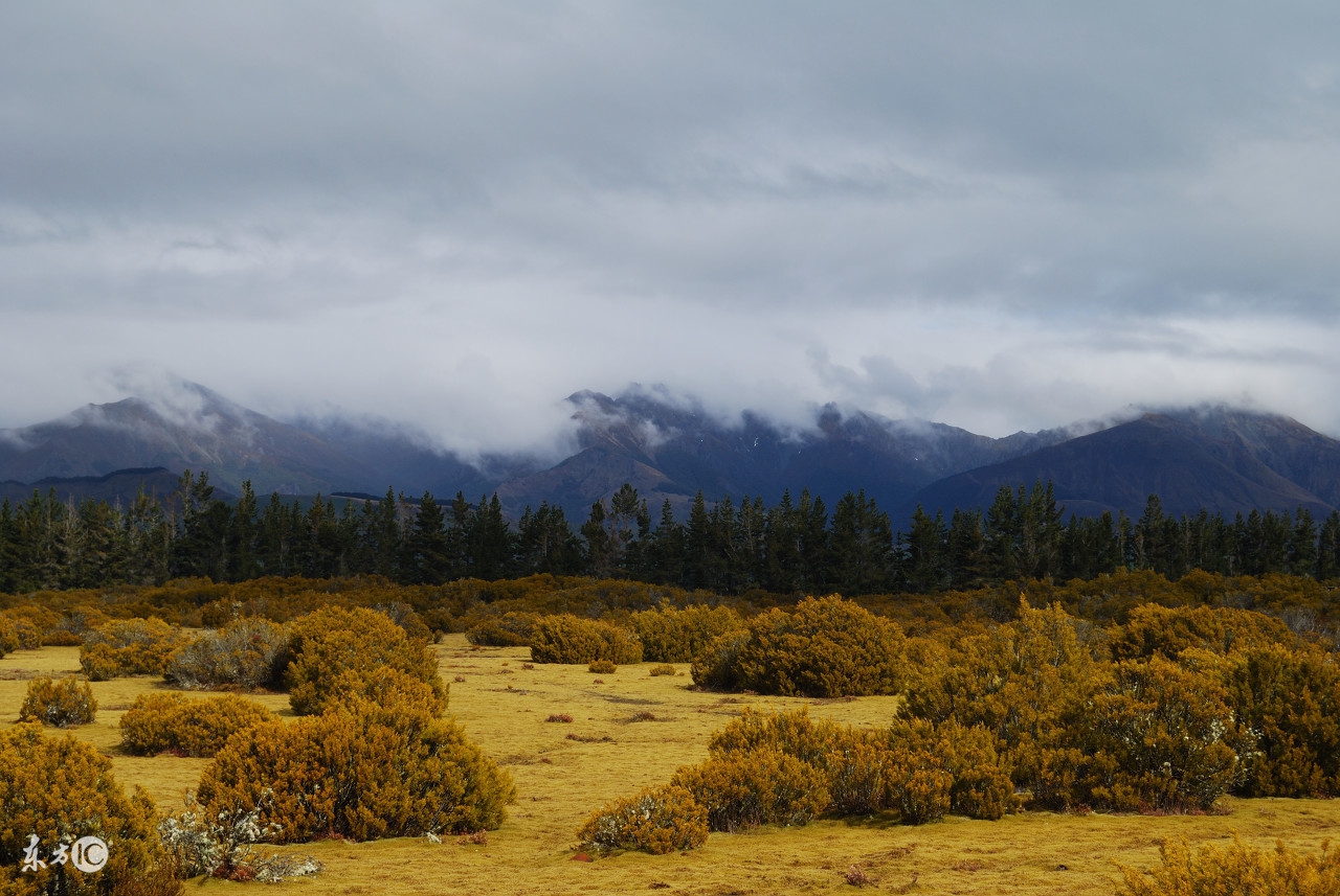 感受新西兰葡萄酒魅力,新西兰有机葡萄酒
