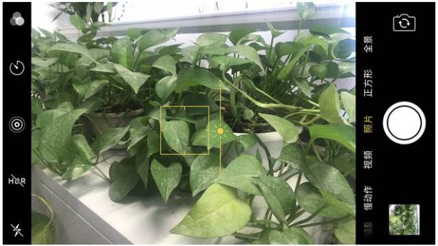 6个简单易懂的手机摄影技巧,手机相片摄影小技巧大全