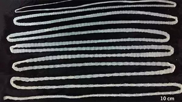 主子生病老不好，十有八九是因为没做这件事！