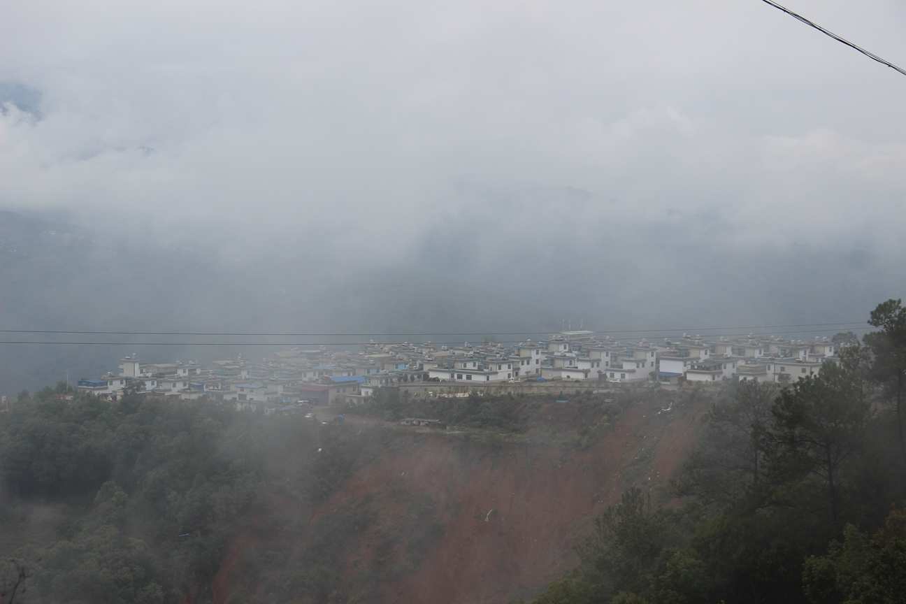 古树茶好喝吗视频,古树茶好在哪里