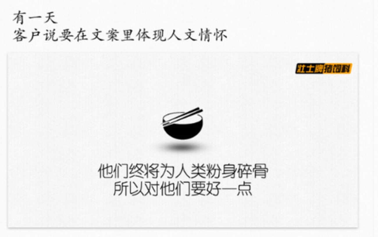 猪饲料文案怎么写,如何写养猪文案吸引人