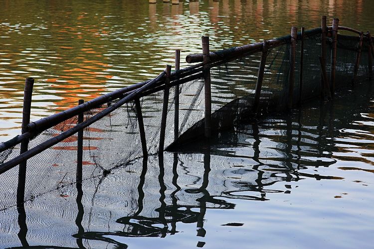 去东湖逛一圈,夏天去东湖哪个景区好玩
