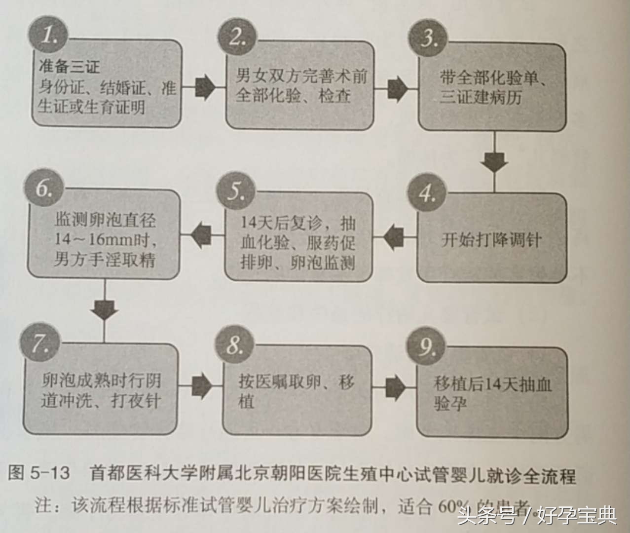 试管婴儿采用什么技术,了解试管婴儿治疗的整体流程