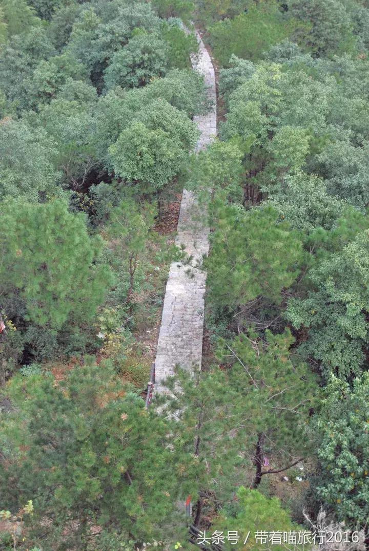 四明山该去哪,四明山观景台晚上能看风景吗