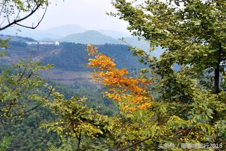 四明山该去哪,四明山观景台晚上能看风景吗