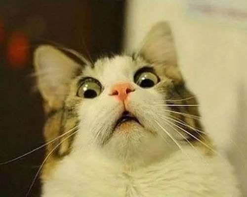 从秦始皇到皇太极,他演电视剧把历史学了个遍,可以转行当老师了