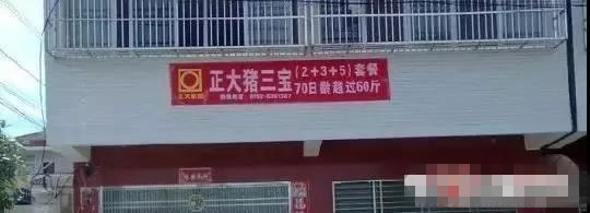 哪一句广告词让你记住了这个饲料品牌,大北农?新希望?双胞胎?