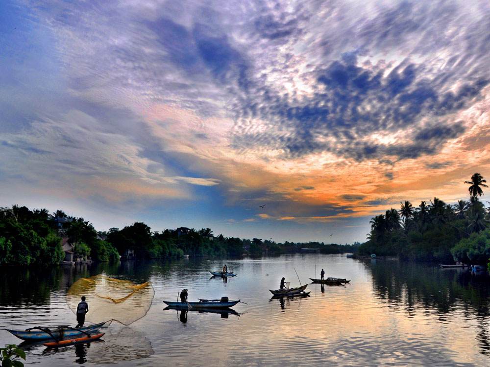 必点海鲜夜市,哪里的夜市海鲜比较多